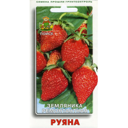 Земляника ремонтантная "Поиск" Руяна 100шт
