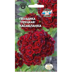 Гвоздика турецкая "Седек" Касабланка 0,3г