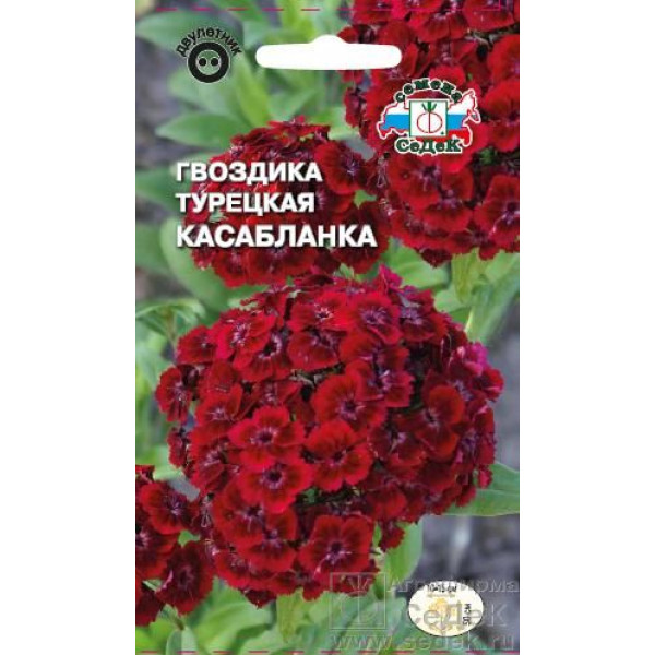 Гвоздика турецкая "Седек" Касабланка 0,3г