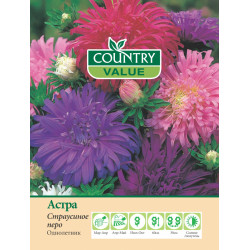Астра "Country Value" Страусиное перо 125шт