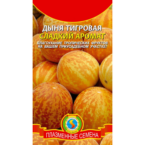 Дыня "Плазмас" Сладкий аромат тигровая 10шт
