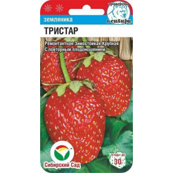 Земляника "Сибирский сад" Тристар 10шт