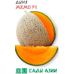 Семена Дыня "Сады Азии" Мемо F1 5шт