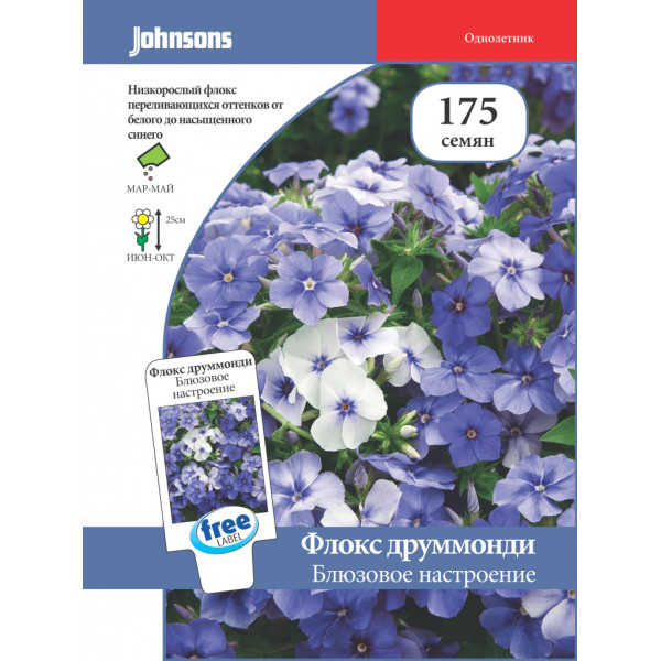 Флокс друммонди "Johnsons" Блюзовое настроение 175шт