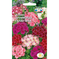 Флокс "Седек" Друммонда Галактика 0,25г