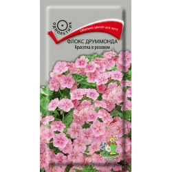 Флокс друммонда "Поиск" Красотка в розовом 0,1г