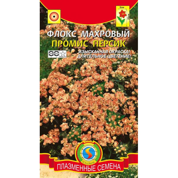 Флокс махровый "Плазмас" Промис персик 5шт