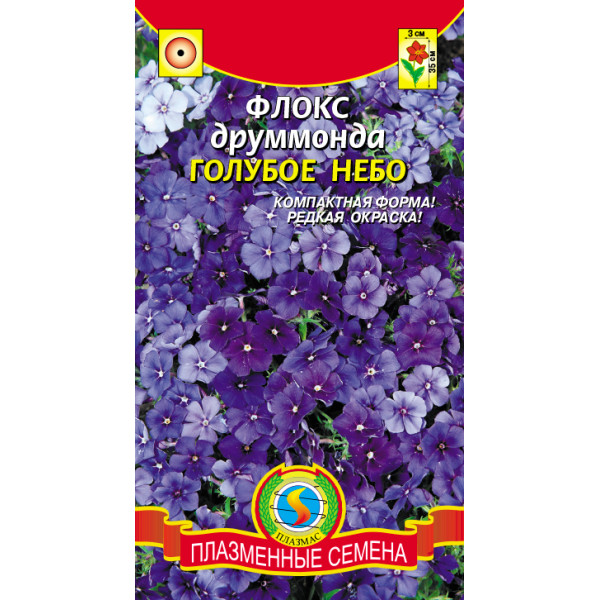 Флокс друммонда "Плазмас" Голубое небо 0,05г
