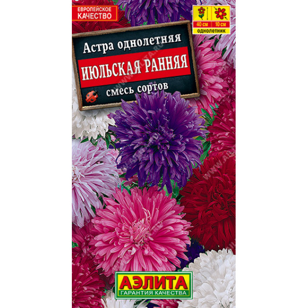 Астра "Аэлита" Июльская ранняя, смесь сортов 0,2г