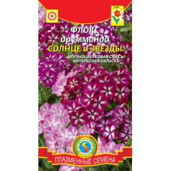 Флокс друммонда "Плазмас" Солнце и звезды 0,05г