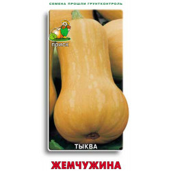 Тыква "Поиск" Жемчужина 10шт