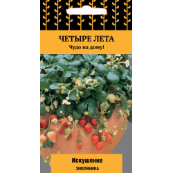 Земляника "Поиск" Искушение 10шт