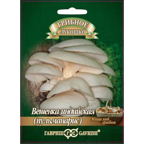 Вешенка "Гавриш" Индийская (пульманарис) 12шт