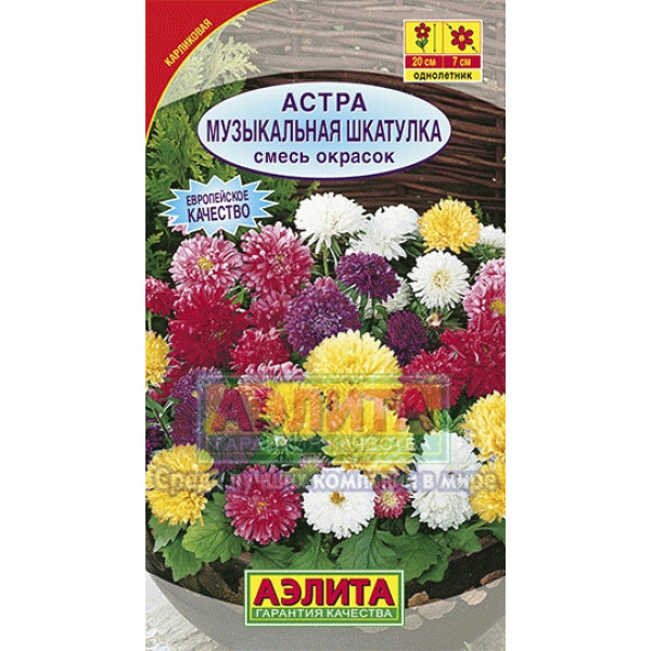 Астра "Аэлита" Музыкальная шкатулка смесь 0,2г