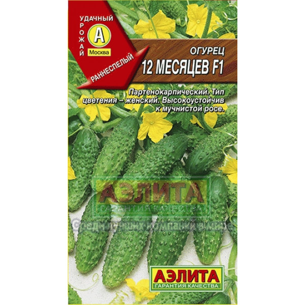 Огурец "Аэлита" 12 месяцев F1 10шт