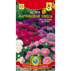 Астра "Плазмас" Карликовая смесь 0,2г