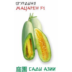 Семена Огурдыня "Сады Азии" Мацарен F1 5шт