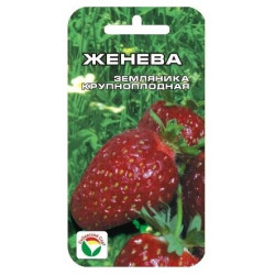 Земляника "Сибирский сад" Женева 10шт