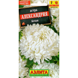 Астра "Аэлита" Александрия белая 0,1г