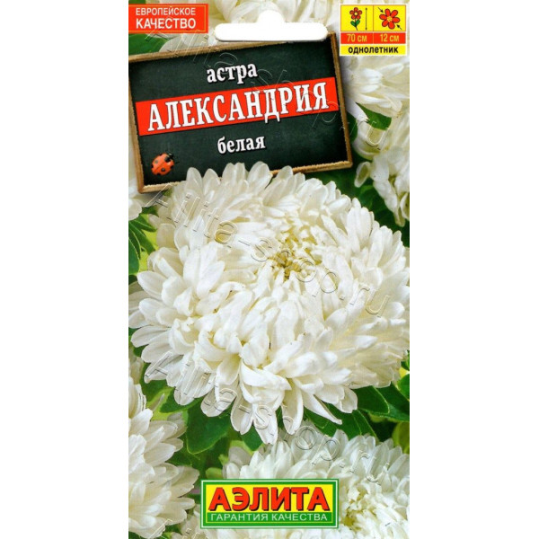 Астра "Аэлита" Александрия белая 0,1г