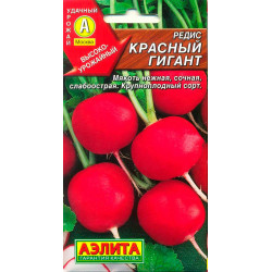 Редис "Аэлита" Красный гигант
