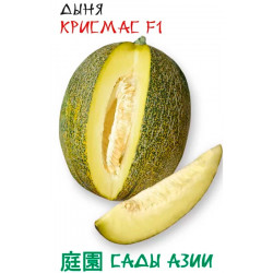 Семена Дыня "Сады Азии" Крисмас F1 5шт