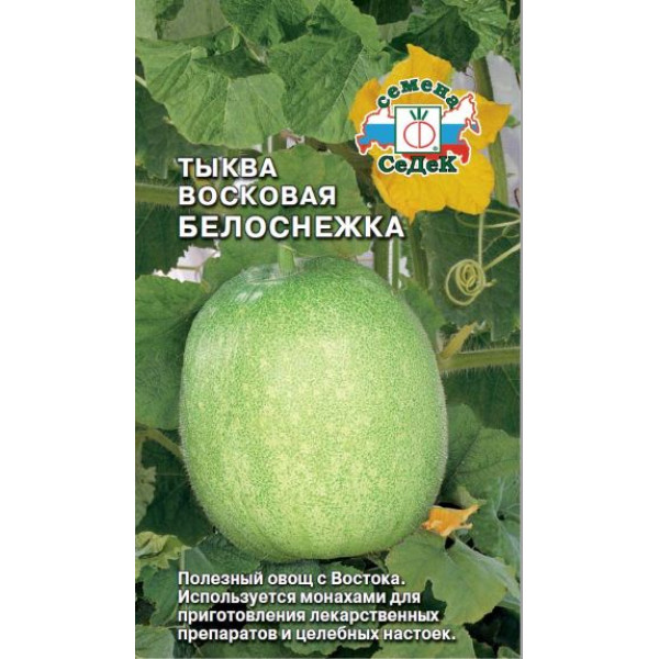 Тыква "Седек" Восковая Белоснежка 0,2г
